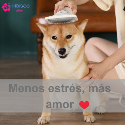 Cepillo Y Secador De Mascotas 2 En 1